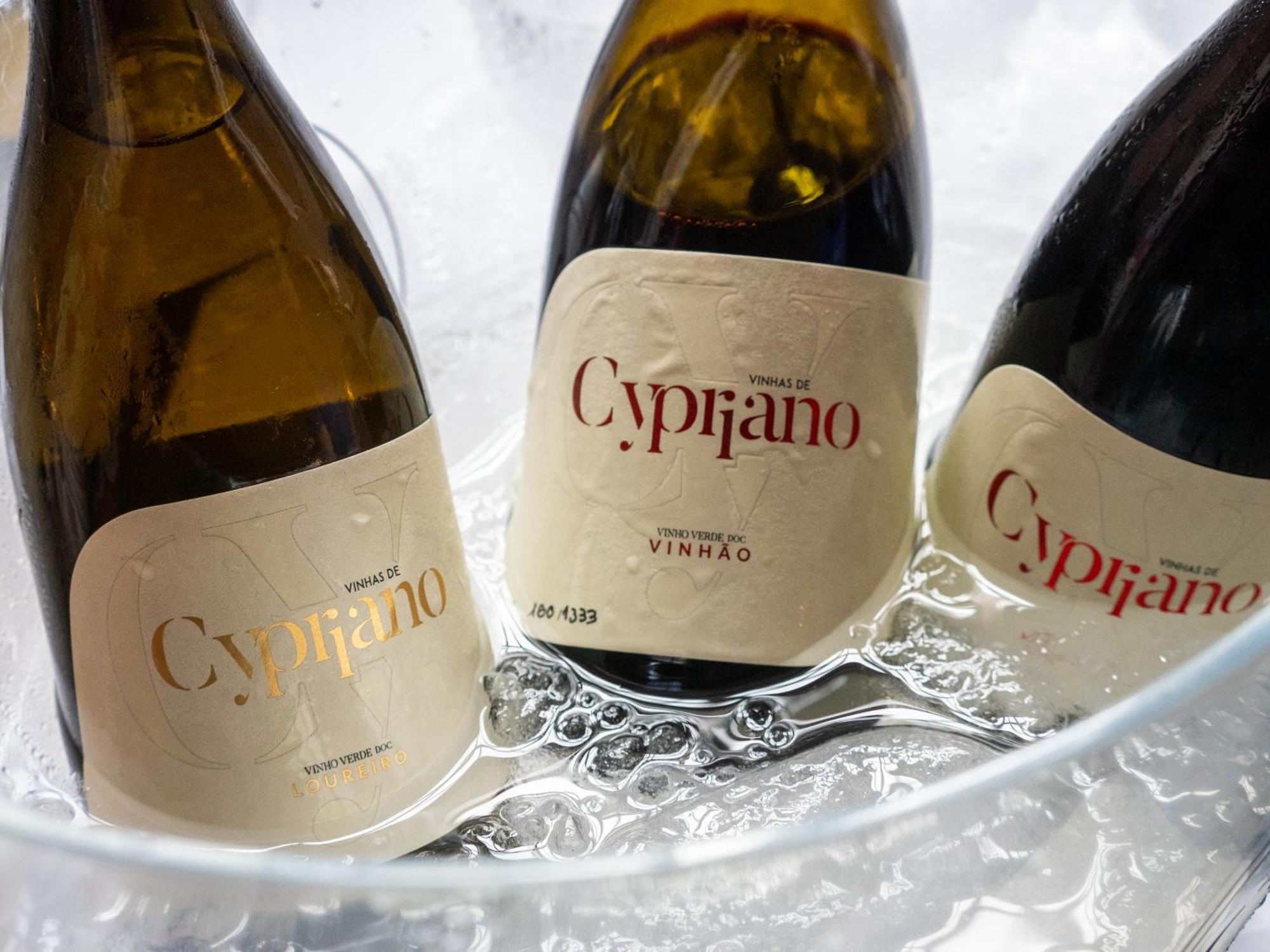 Quinta De Cypriano - Wine & Nature Séjour à la ferme