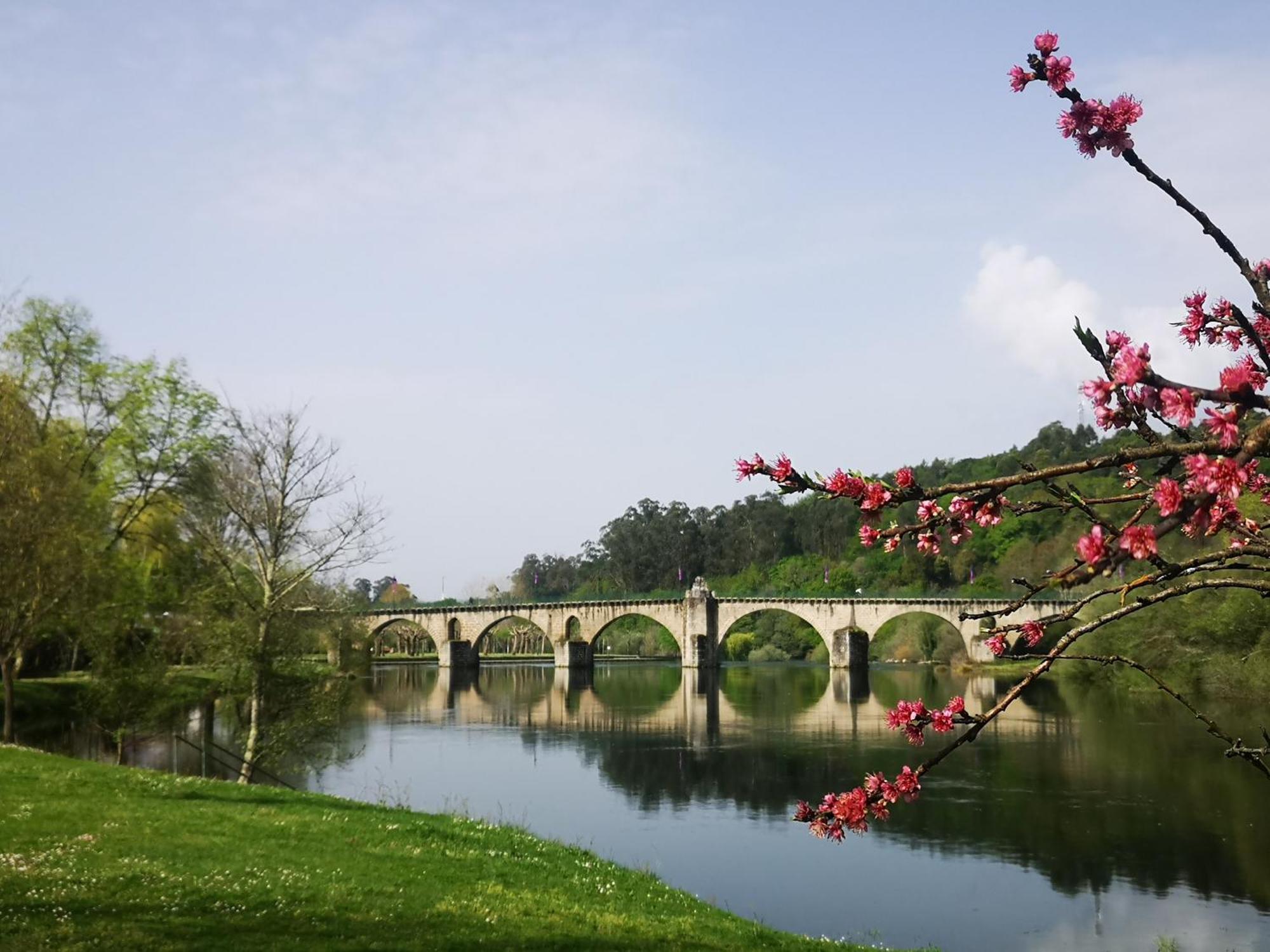 Quinta De Cypriano - Wine & Nature Bauernhof Ponte da Barca