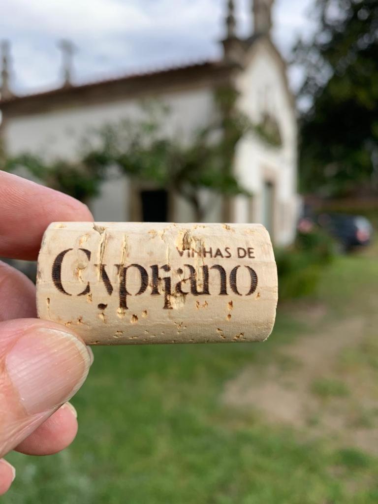 Quinta De Cypriano - Wine & Nature Ponte da Barca