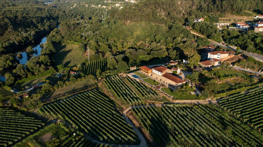 Quinta De Cypriano - Wine & Nature