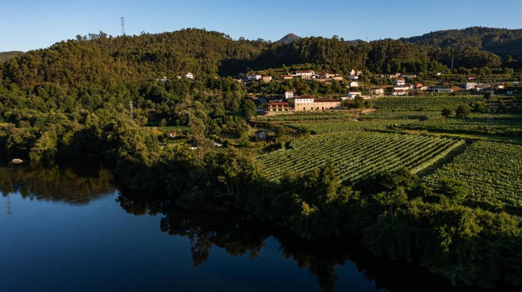 Bauernhof Quinta De Cypriano - Wine & Nature *